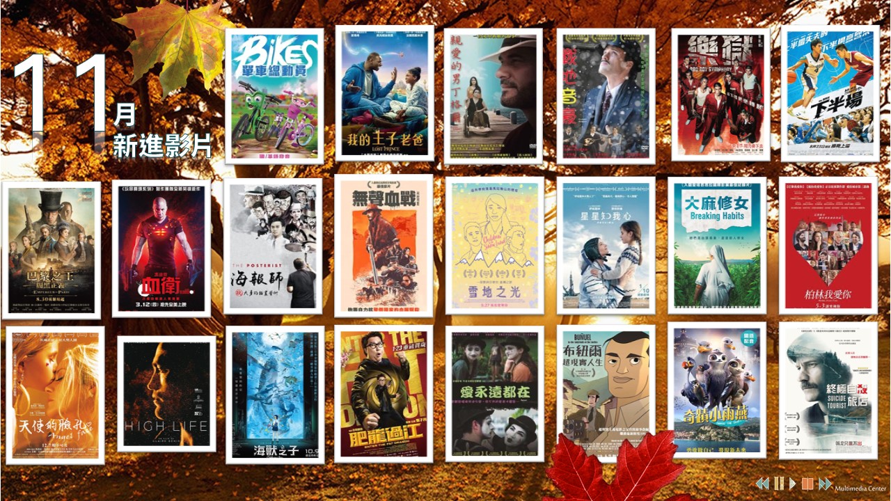 11月新片