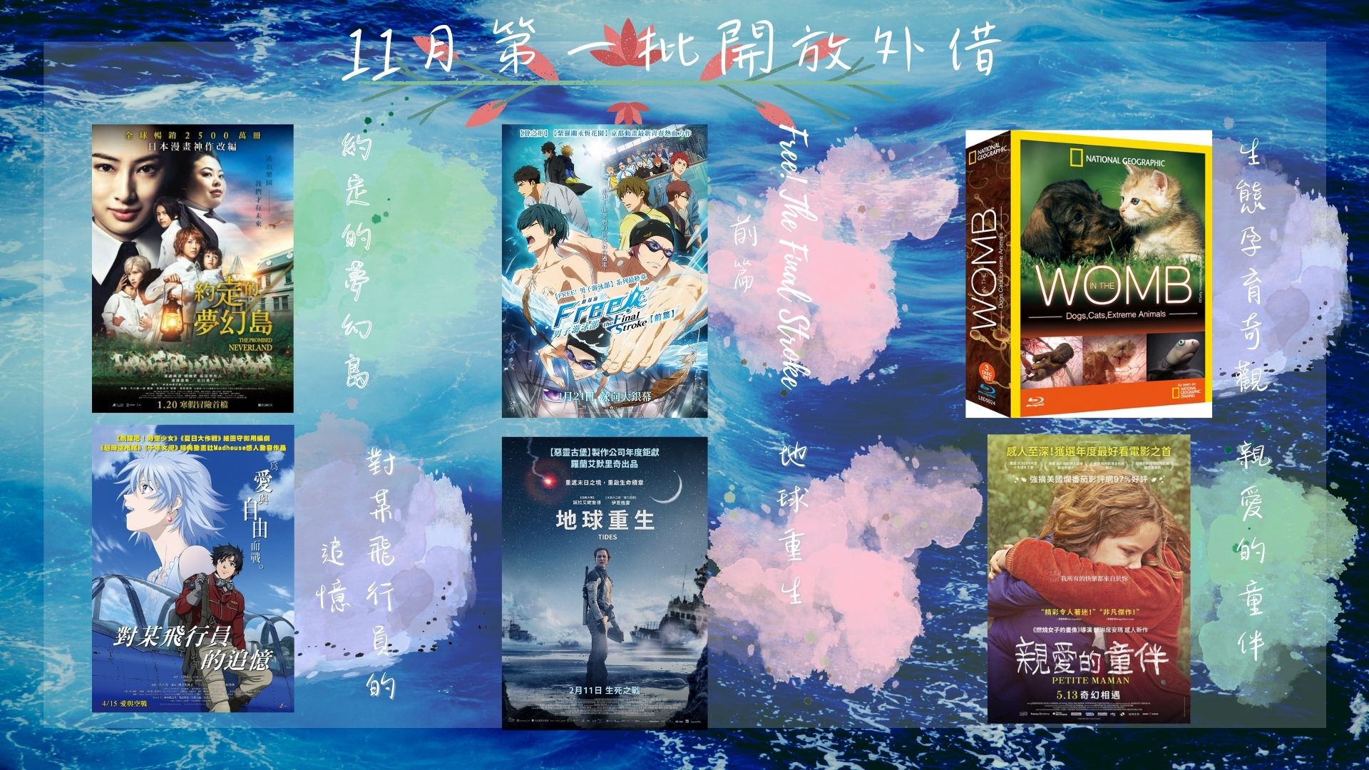 11月第一批1