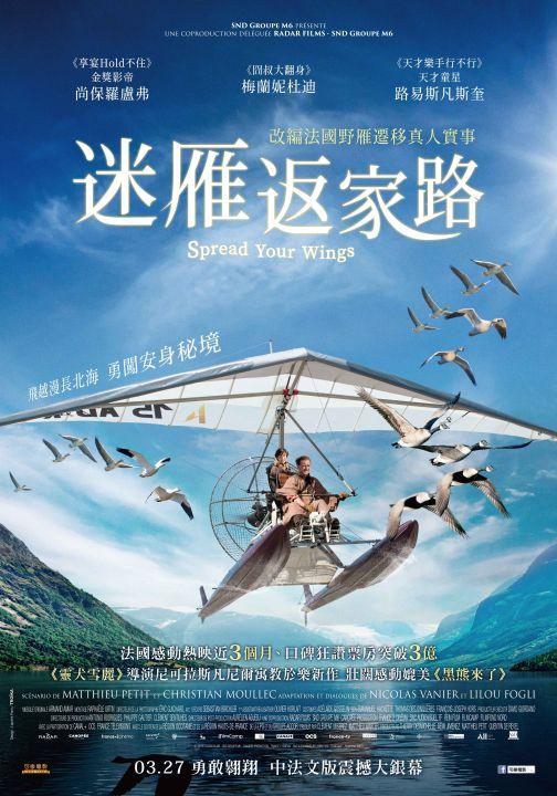 迷雁返家錄