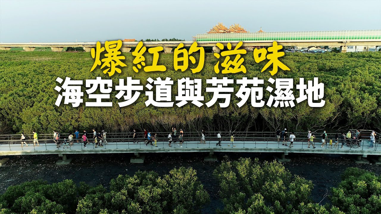 爆紅的滋味海空步道與芳苑濕地