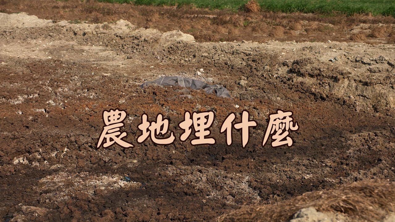 農地埋什麼那些不該出現的有害廢棄物