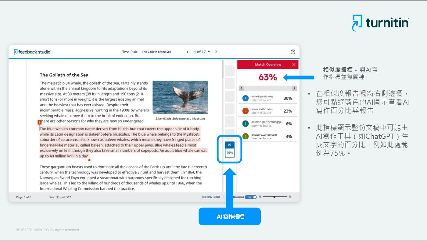 turnitin-20230411