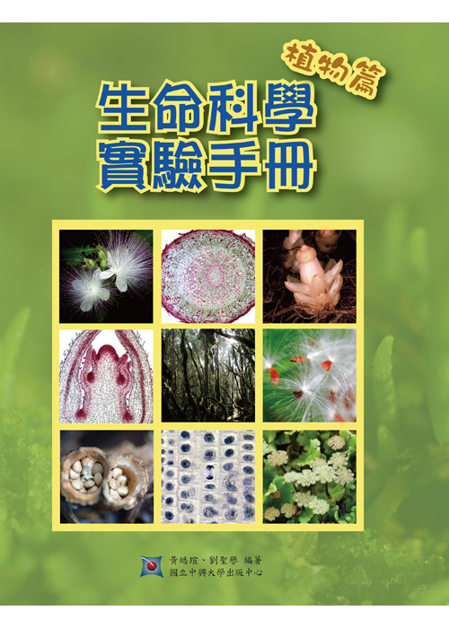 圖12
