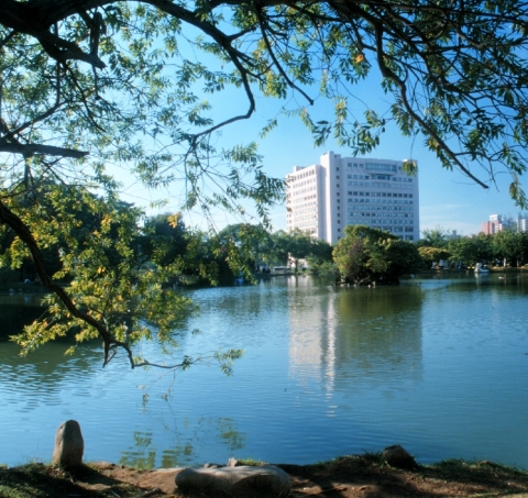 University Archives圖片