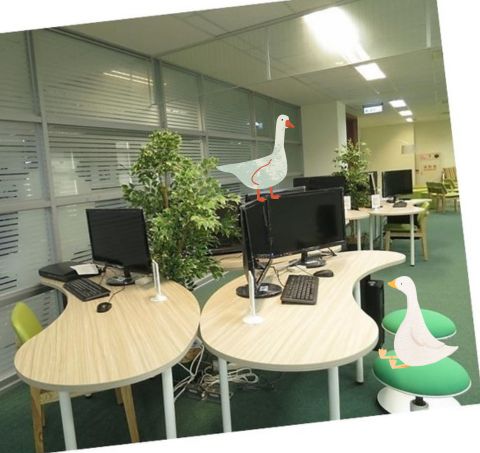 Multimedia Center圖片