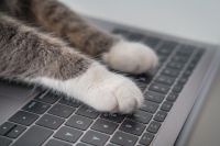 第一次用新系統找資料就上手圖