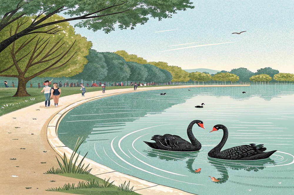 鵝們 • 我們圖