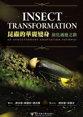 昆蟲的華麗變身