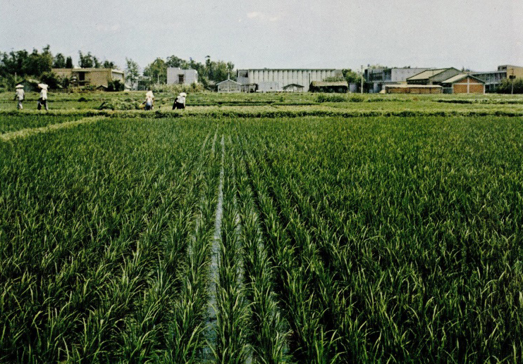 圖2
