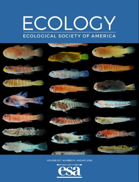 Ecology圖片
